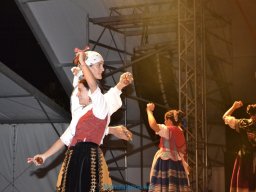 Festival de Folkore en Mula